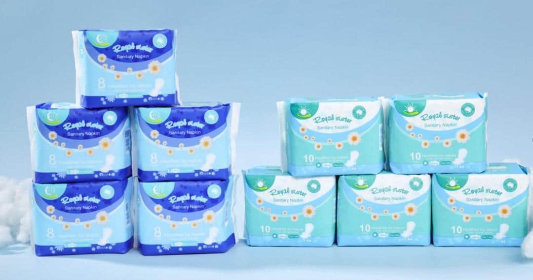 Serviettes hygiéniques Royal Sister (8pcs x 30 sacs) Protection confortable et fiable