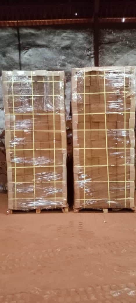 Premium Coco Peat Products Supply – Direct from India Factory